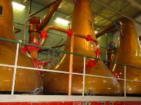 Sjb_whiskey_still